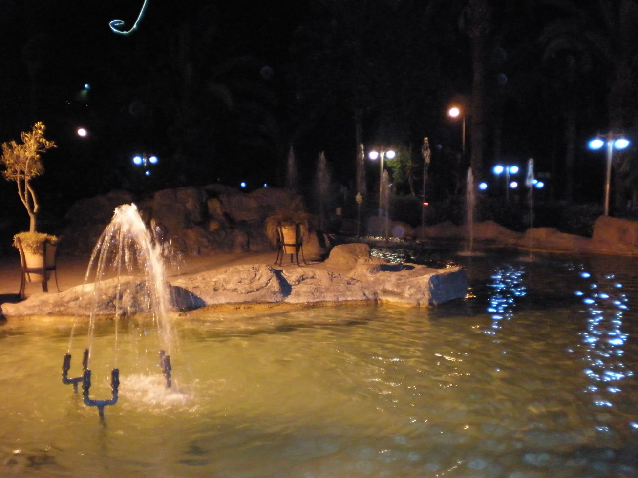 P7100148.JPG