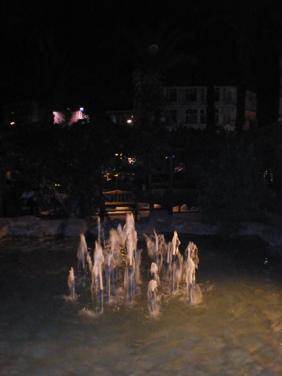 P7100152.JPG