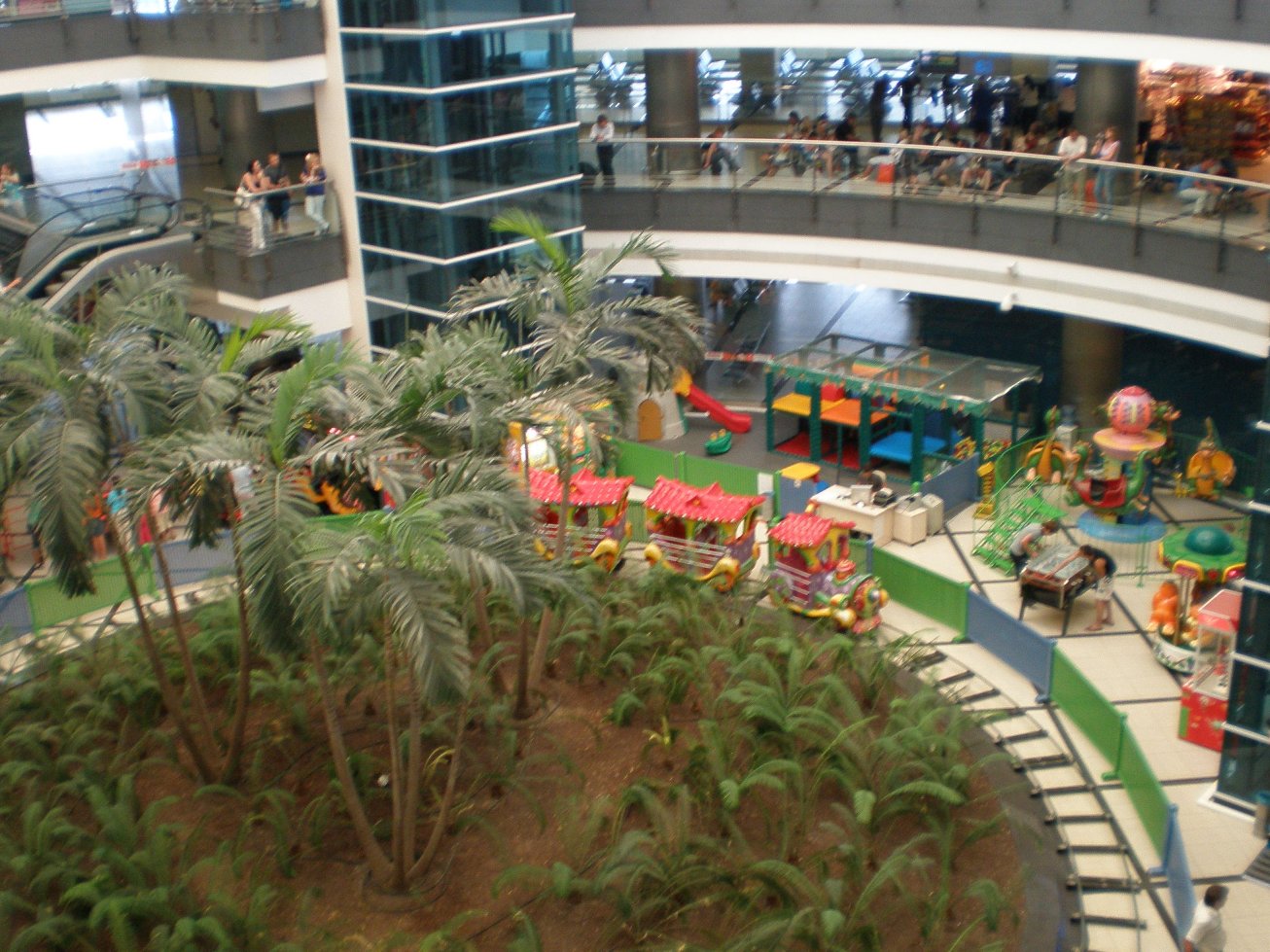 P7110166.jpg