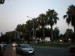P7100138.JPG